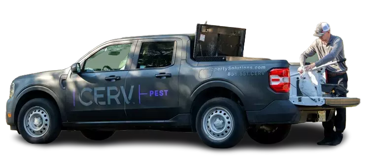 Cerv Pest service truck